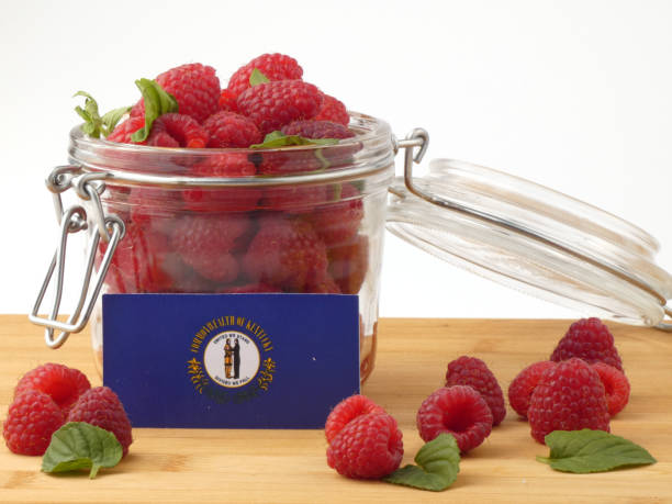 Generalraspberry8102 facebook