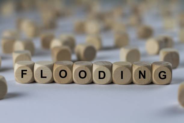Laidings com